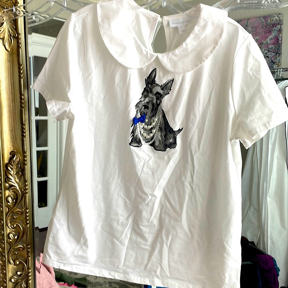 Large collared schnauzer dog shirt